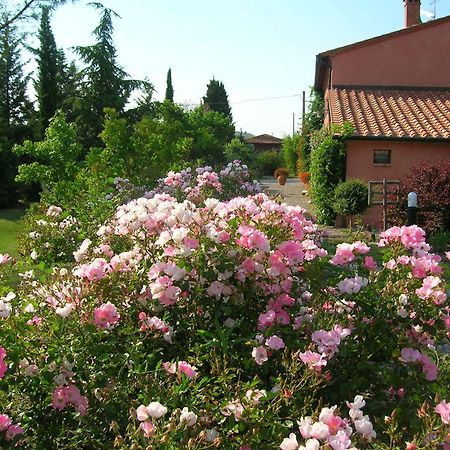Sant'Alberto Campiglia dʼOrcia Eksteriør billede