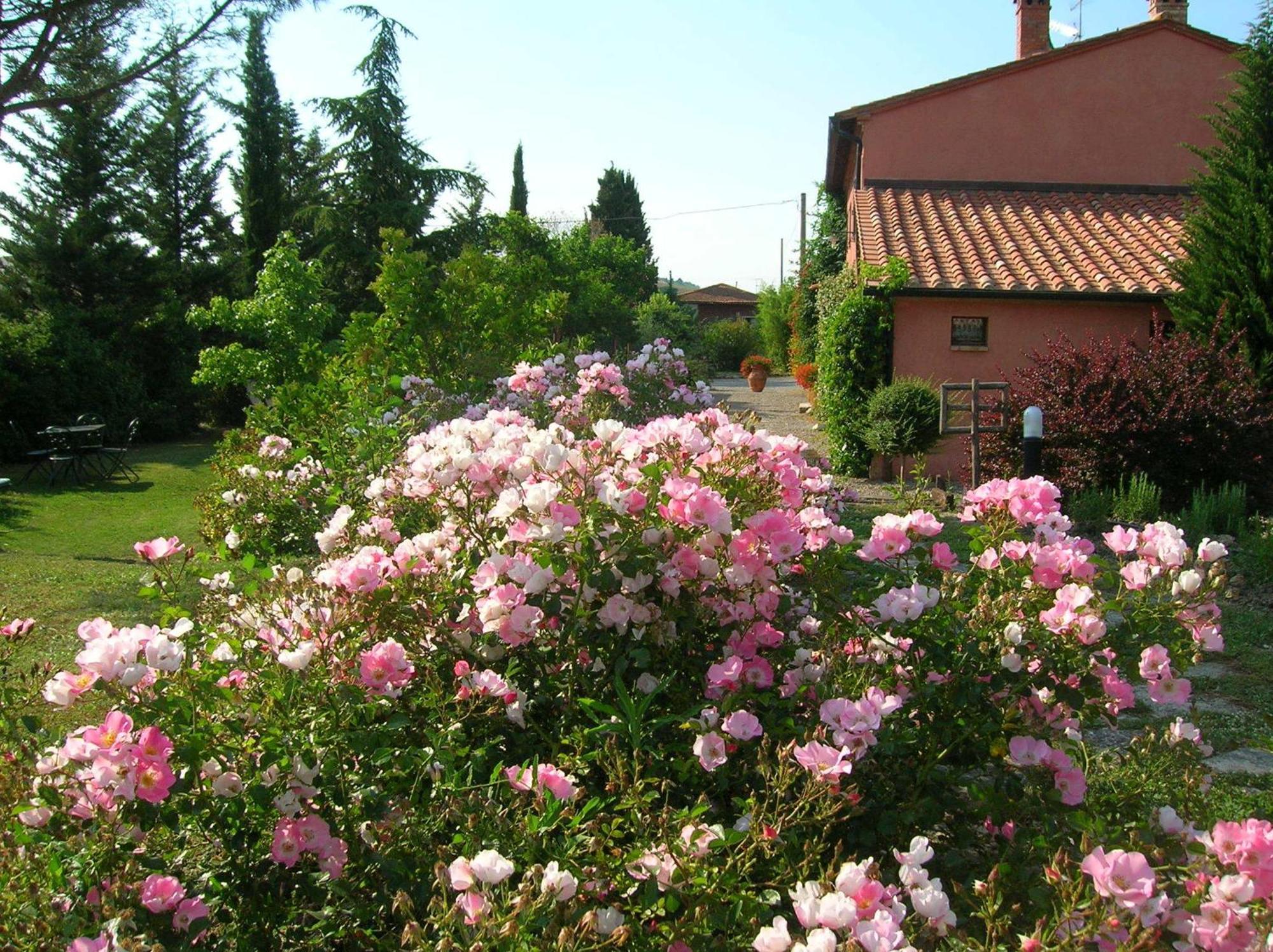 Sant'Alberto Campiglia dʼOrcia Eksteriør billede